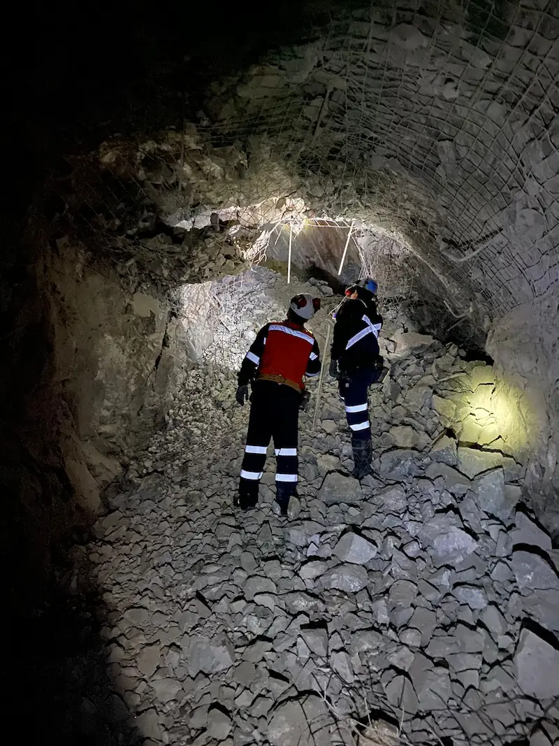 Project Description